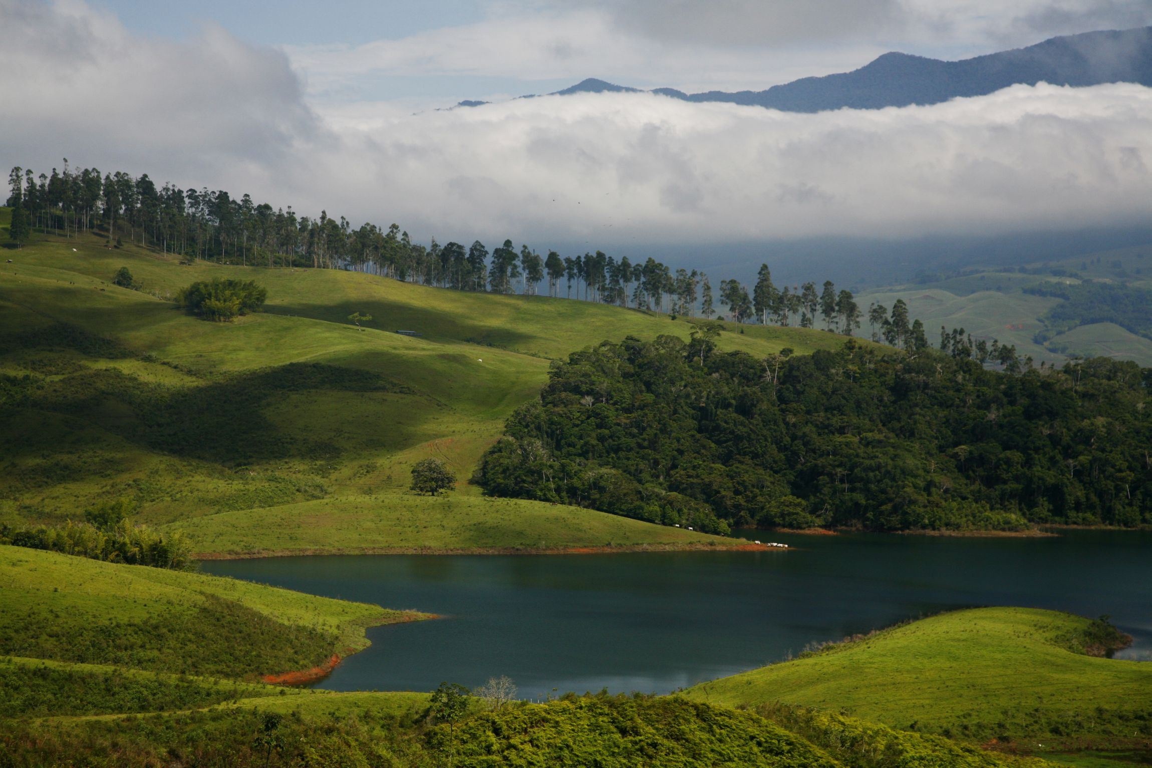 Alquiler de Finca Casablanca